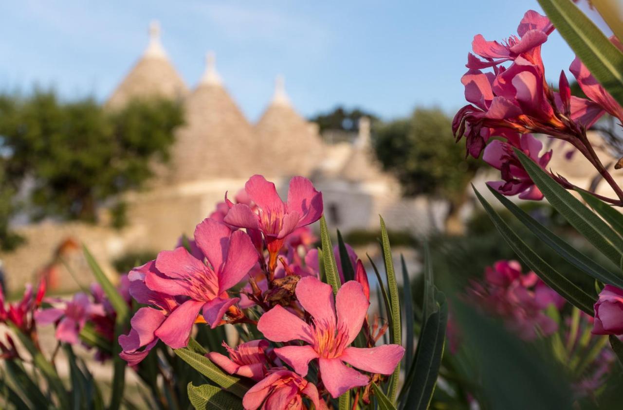 Trulli Angela Διαμέρισμα Locorotondo Εξωτερικό φωτογραφία